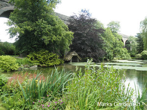 KilverCourt2012_07.jpg
