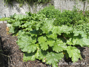 KilverCourt2012_11.jpg