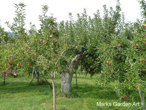 Obuse2012_01.JPG