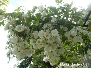 Sudeley_Castle2012_08.jpg