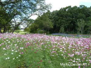 The_Treasure_Garden_2012_05.JPG