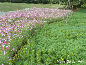The_Treasure_Garden_2012_06.JPG