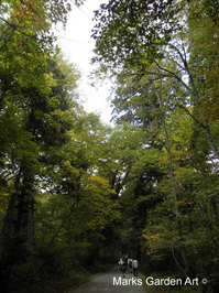 Togakushi-shrine2012_03.jpg