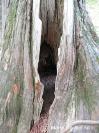 Togakushi-shrine2012_05.jpg