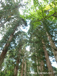 Togakushi-shrine2012_07.JPG