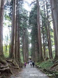 Togakushi-shrine2012_08.JPG