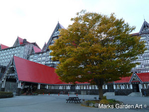 Hakuba_201211_14.JPG