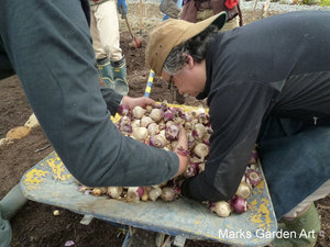 Hana-no-Chikara-Project_2012_04.JPG