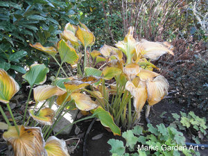Kawaguchi_201211_06.jpg