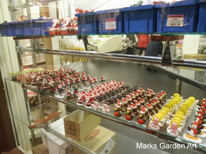 Oxford-Summer2012_01.jpg