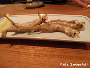 Narukawa_01.JPG