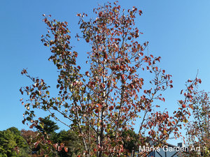 Omiya201211_01.JPG