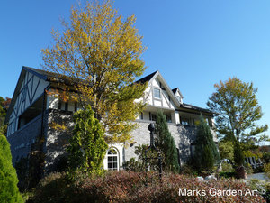 Omiya201211_02.JPG