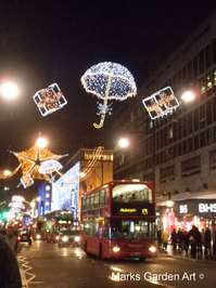 Winter-Display2012_04.jpg
