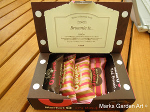 realbrownie_01.jpg