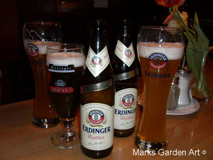 Austria-Vienna_01.JPG