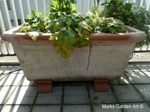 Pot-feet_01.JPG