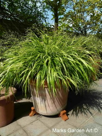 Pot-feet_02.JPG