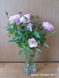 Rosa_Queen_Of_Sweden_02.JPG