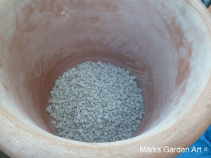 Changing_pot_05.JPG