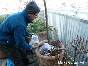 Changing_pot_07.JPG