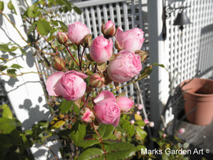Staff_training_201212_01.jpg