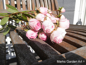 Staff_training_201212_04.jpg