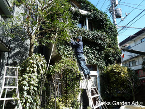 Tokyo-I_2013-02_02.JPG