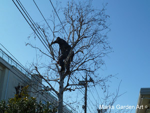 Tokyo-I_2013-02_04.JPG