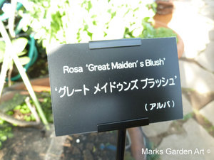 Kamakura-O_2013-03_03.JPG