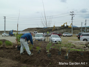 Hana-no-Chikara-Project_2013_17.JPG