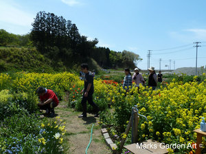 Hana-no-Chikara-Project_2013_23.JPG