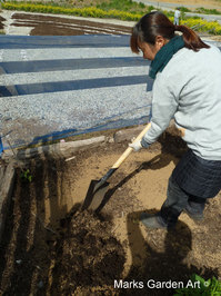 Hana-no-Chikara-Project_2013_25.JPG
