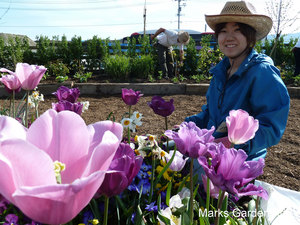 Hana-no-Chikara-Project_2013_27.JPG