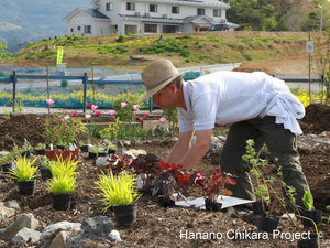 Hana-no-Chikara-Project_2013_28.jpg