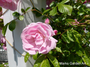 Shirokanedai_201305_02.JPG