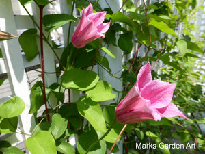 Shirokanedai_201305_04.JPG