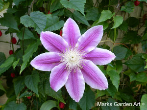 Shirokanedai_201305_05.JPG