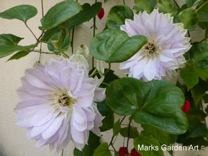 Shirokanedai_201305_07.JPG