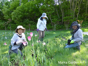 Hakuba_201306_06.JPG