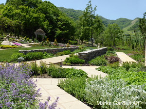 Hakuba_201306_08.JPG
