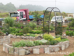 Hana-no-Chikara-Project_2013_31.JPG