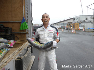 Minami-Souma_201307_03.JPG