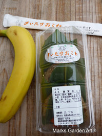Minami-Souma_201307_10.JPG