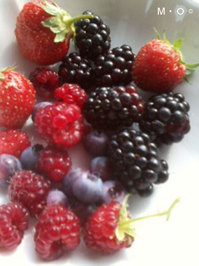 Berries_01.JPG