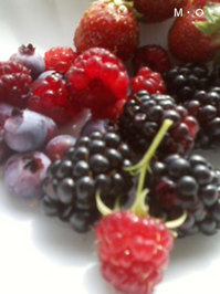Berries_02.JPG
