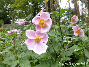 Brodsworth-Hall&Gardens_201308_01.JPG