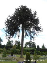Brodsworth-Hall&Gardens_201308_06.JPG