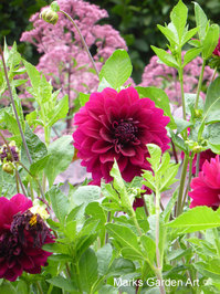 The-Savil-Gardens_201308_01.JPG