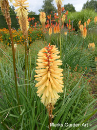 The-Savil-Gardens_201308_04.JPG